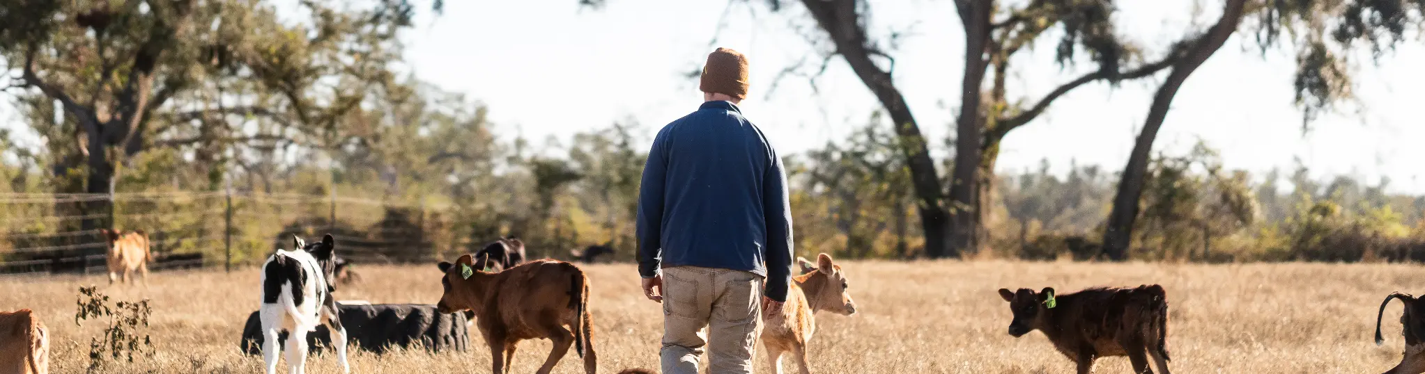 Southeast Milk History Two men walking through a field with dairy cows.