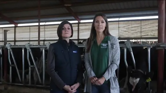 Fitness to Transport (English)