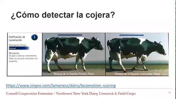 Non-Ambulatory Management (Spanish))