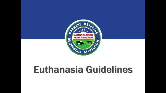 Euthanasia (English)