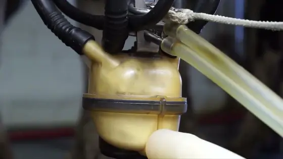 Milker Training (English)